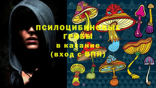 прущие крисы Алексеевка
