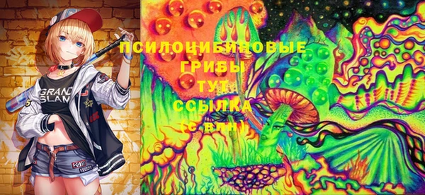 ГАЛЛЮЦИНОГЕННЫЕ ГРИБЫ Алексин