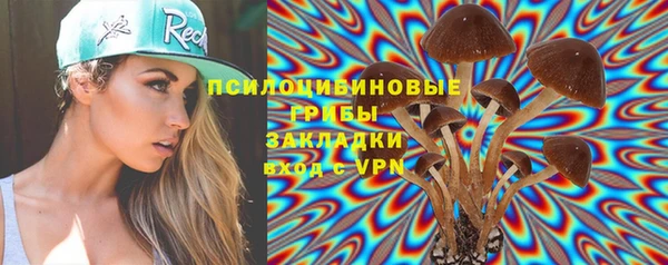 ГАЛЛЮЦИНОГЕННЫЕ ГРИБЫ Алексин