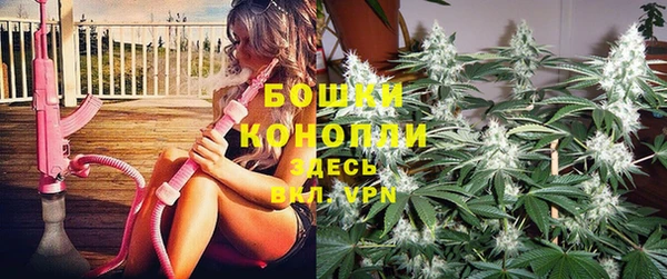 ГАЛЛЮЦИНОГЕННЫЕ ГРИБЫ Алексин